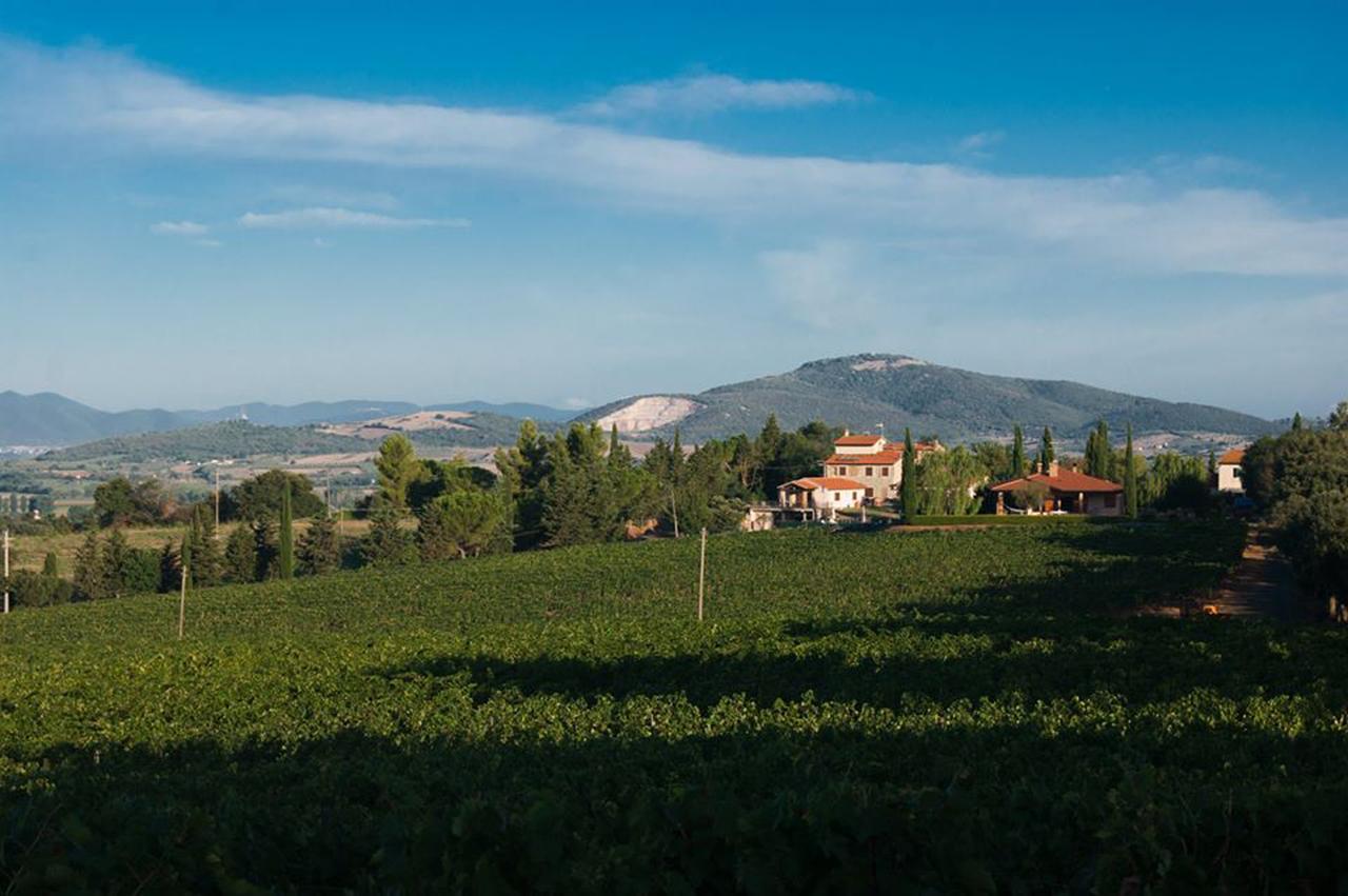 Villa Agriturismo Diaccialone à Istia dʼOmbrone Extérieur photo